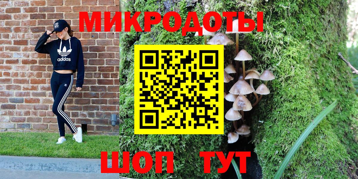 Псилоцибиновые грибы GOLDEN TEACHER Клинцы