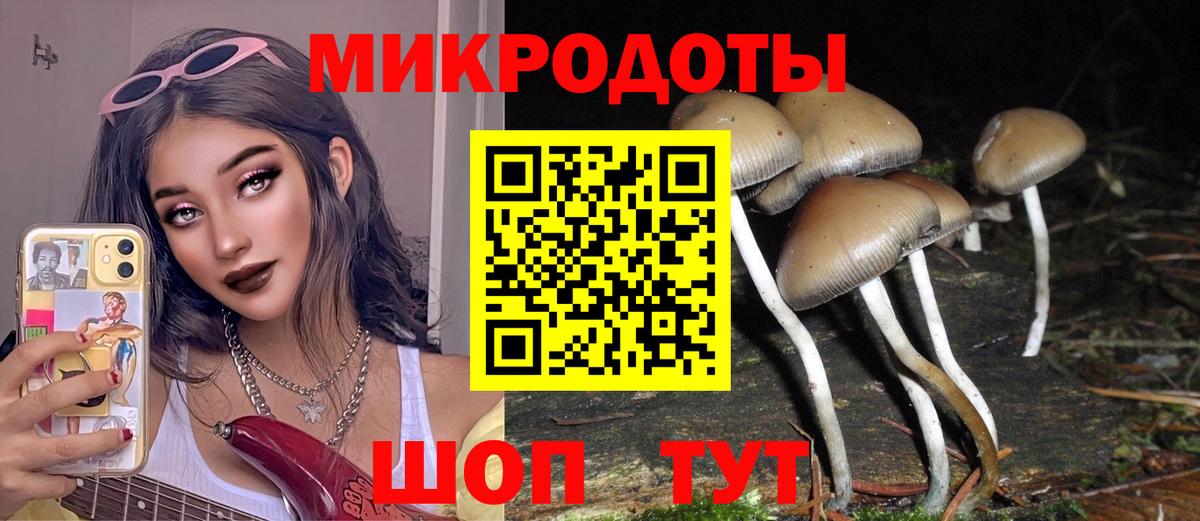 Псилоцибиновые грибы мицелий  Вход с VPN  Клинцы 